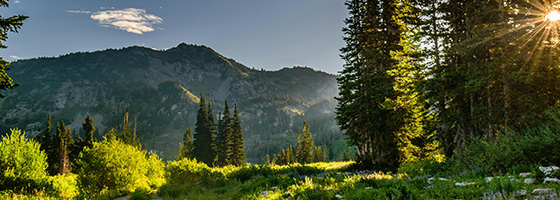 东莞市多家单位常年法律顾问，深谙政策法规