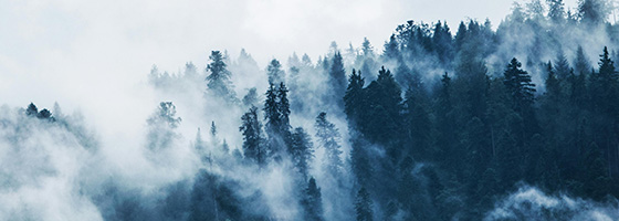 前瞻风险预判，化解潜在危机