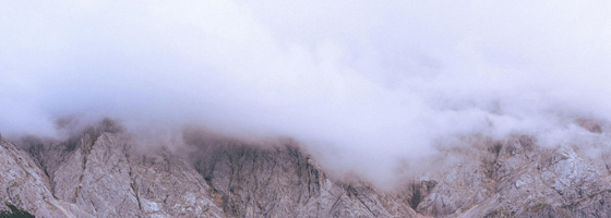 提供系统方案，高效应对争议